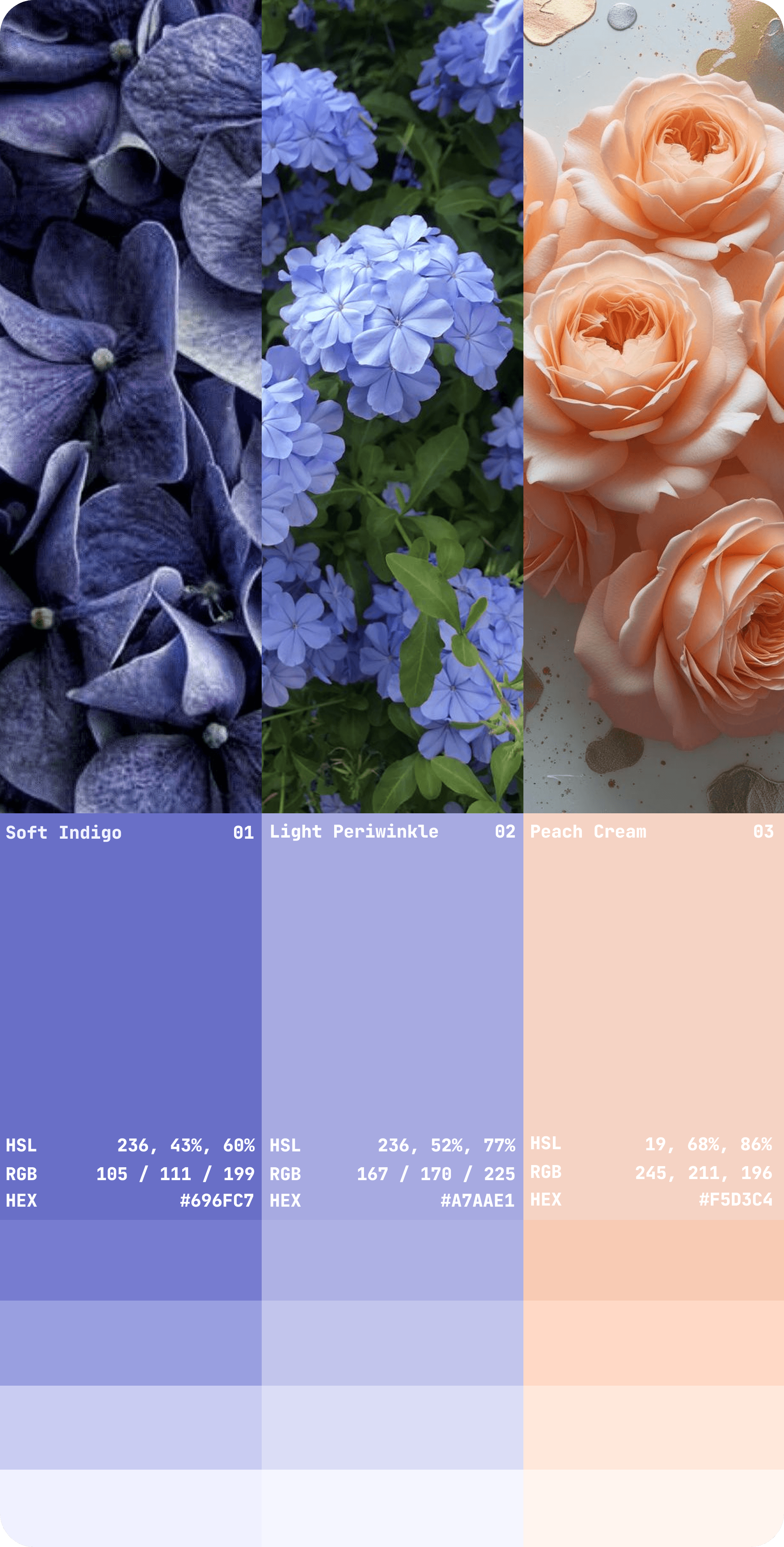 Problem Research Insights